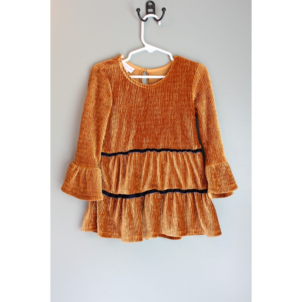 Bonnie Jean Baby Girls Burnt Orange Velvet Dress Size 2T